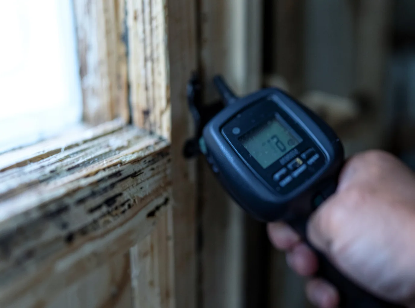 Moisture Inspection And Documentation in Marion, NC
